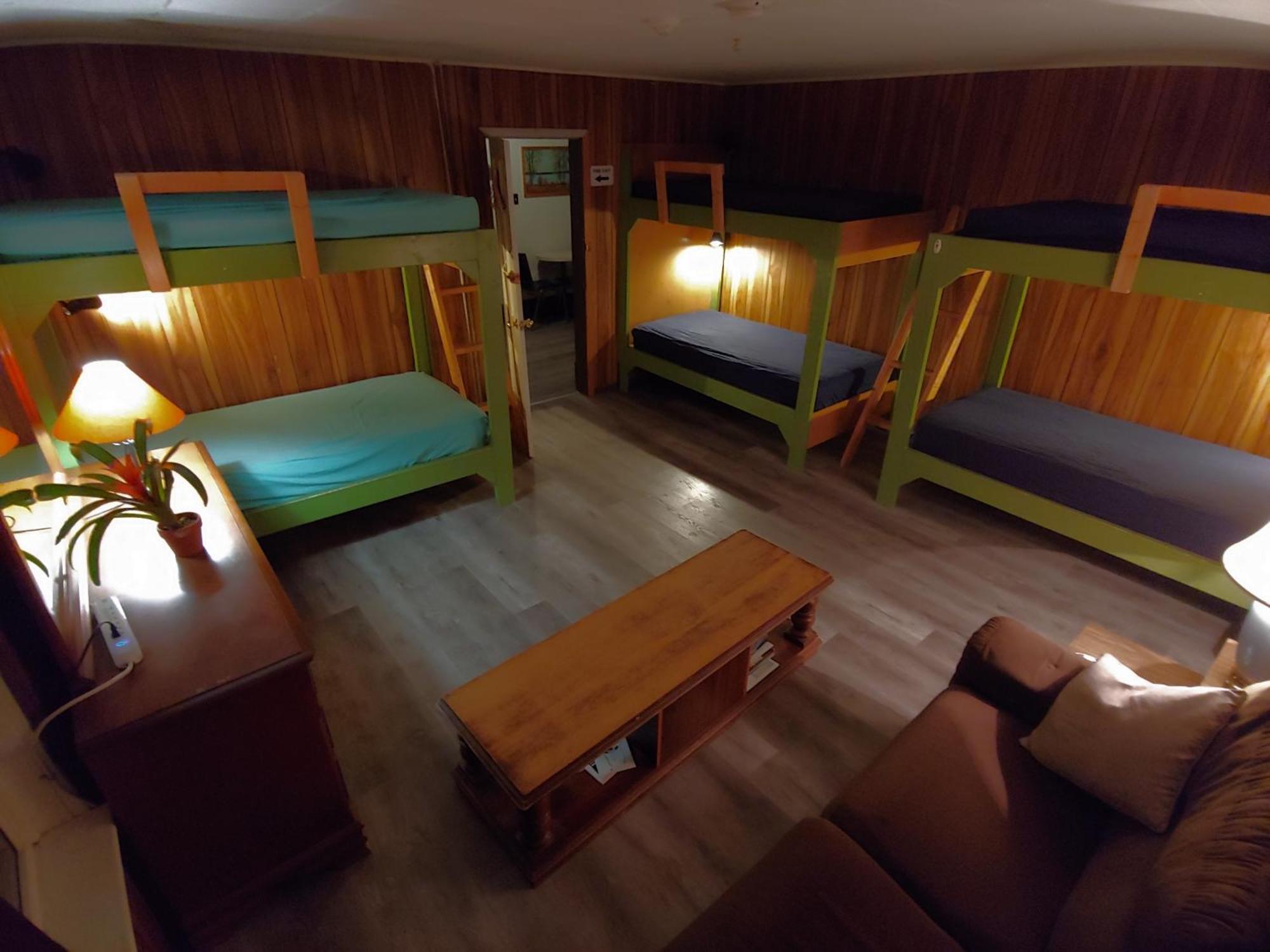 Hostel The Arlington Maynooth Zewnętrze zdjęcie